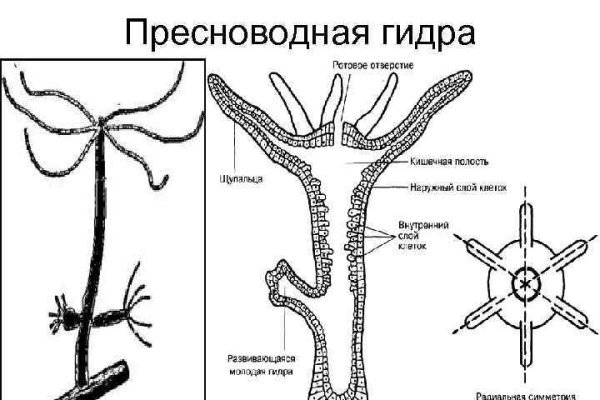 Кракен рабочая ссылка на сайт