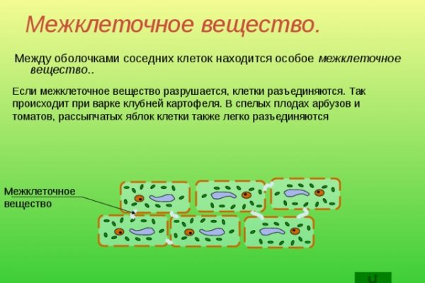 Кракен ссылка тупа германия